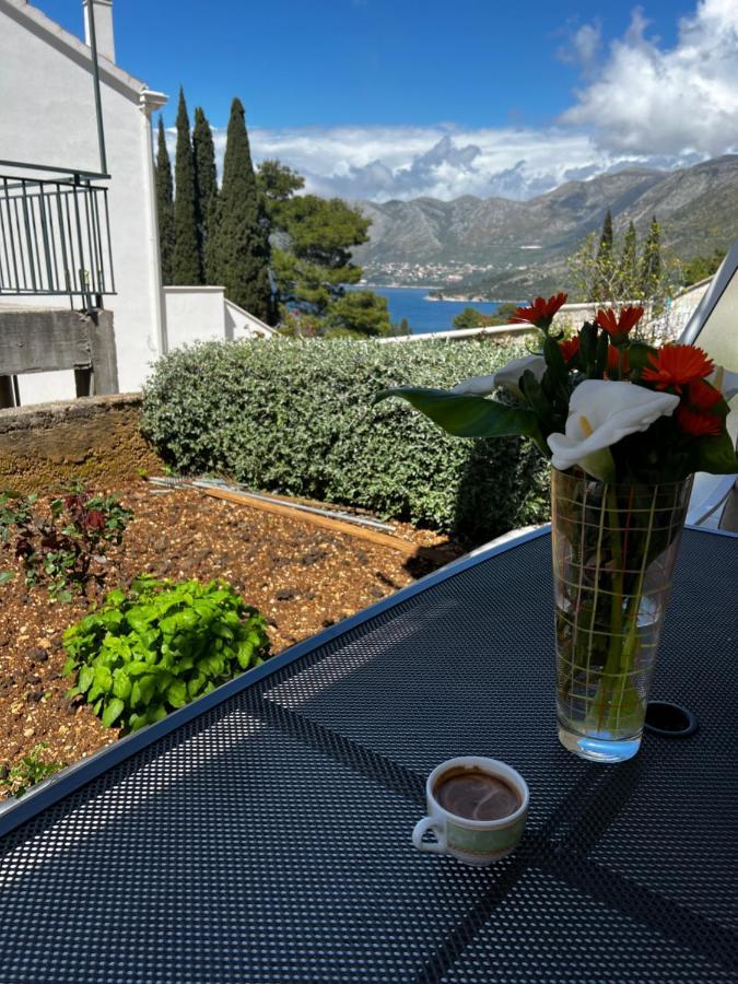 Appartement Epidaurus *
